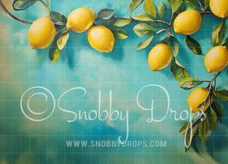 Painterly Lemons on Teal Fabric Backdrop-Fabric Photography Backdrop-Snobby Drops Fabric Backdrops for Photography, Exclusive Designs by Tara Mapes Photography, Enchanted Eye Creations by Tara Mapes, photography backgrounds, photography backdrops, fast shipping, US backdrops, cheap photography backdrops