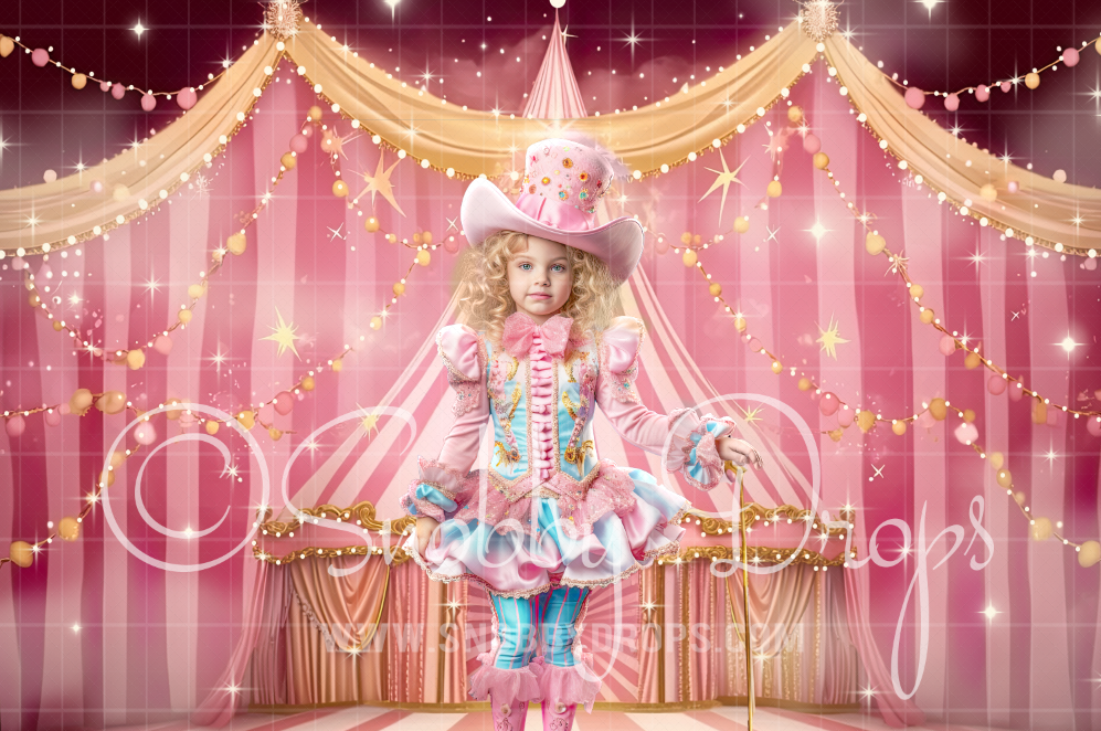 Painterly Pastel Circus Tent Fabric Backdrop by Snobby Drops