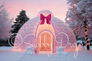 Pink Dollhouse Igloo Fabric Backdrop-Fabric Photography Backdrop-Snobby Drops Fabric Backdrops for Photography, Exclusive Designs by Tara Mapes Photography, Enchanted Eye Creations by Tara Mapes, photography backgrounds, photography backdrops, fast shipping, US backdrops, cheap photography backdrops