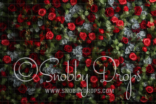 Rose Wall Fabric Backdrop-Fabric Photography Backdrop-Snobby Drops Fabric Backdrops for Photography, Exclusive Designs by Tara Mapes Photography, Enchanted Eye Creations by Tara Mapes, photography backgrounds, photography backdrops, fast shipping, US backdrops, cheap photography backdrops