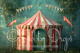 Shabby Chic Circus Fabric Backdrop-Fabric Photography Backdrop-Snobby Drops Fabric Backdrops for Photography, Exclusive Designs by Tara Mapes Photography, Enchanted Eye Creations by Tara Mapes, photography backgrounds, photography backdrops, fast shipping, US backdrops, cheap photography backdrops