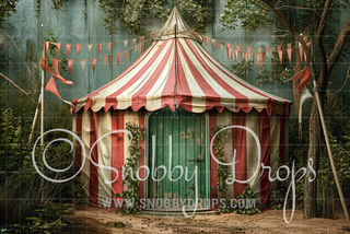 Shabby Chic Circus Tent Fabric Backdrop-Fabric Photography Backdrop-Snobby Drops Fabric Backdrops for Photography, Exclusive Designs by Tara Mapes Photography, Enchanted Eye Creations by Tara Mapes, photography backgrounds, photography backdrops, fast shipping, US backdrops, cheap photography backdrops