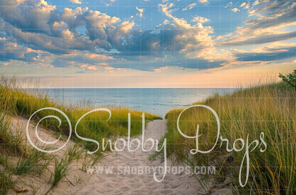 Snobby Southern Beach Fabric Backdrop by Snobby Drops USA