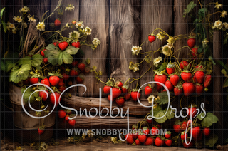 Strawberries on Rustic Fence Fabric Backdrop-Fabric Photography Backdrop-Snobby Drops Fabric Backdrops for Photography, Exclusive Designs by Tara Mapes Photography, Enchanted Eye Creations by Tara Mapes, photography backgrounds, photography backdrops, fast shipping, US backdrops, cheap photography backdrops