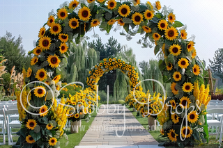 Sunflower Arch Fabric Backdrop-Fabric Photography Backdrop-Snobby Drops Fabric Backdrops for Photography, Exclusive Designs by Tara Mapes Photography, Enchanted Eye Creations by Tara Mapes, photography backgrounds, photography backdrops, fast shipping, US backdrops, cheap photography backdrops