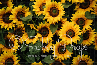 Sunflower Fabric Wee Drop-Fabric Photography Backdrop-Snobby Drops Fabric Backdrops for Photography, Exclusive Designs by Tara Mapes Photography, Enchanted Eye Creations by Tara Mapes, photography backgrounds, photography backdrops, fast shipping, US backdrops, cheap photography backdrops