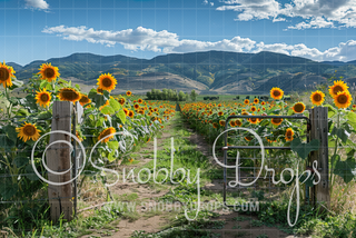 Sunflower Gate Fabric Backdrop-Fabric Photography Backdrop-Snobby Drops Fabric Backdrops for Photography, Exclusive Designs by Tara Mapes Photography, Enchanted Eye Creations by Tara Mapes, photography backgrounds, photography backdrops, fast shipping, US backdrops, cheap photography backdrops