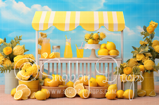 Sweet Lemonade Stand Fabric Backdrop-Fabric Photography Backdrop-Snobby Drops Fabric Backdrops for Photography, Exclusive Designs by Tara Mapes Photography, Enchanted Eye Creations by Tara Mapes, photography backgrounds, photography backdrops, fast shipping, US backdrops, cheap photography backdrops