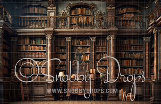 The Beast's Library Book Shelves Fabric Backdrop-Fabric Photography Backdrop-Snobby Drops Fabric Backdrops for Photography, Exclusive Designs by Tara Mapes Photography, Enchanted Eye Creations by Tara Mapes, photography backgrounds, photography backdrops, fast shipping, US backdrops, cheap photography backdrops