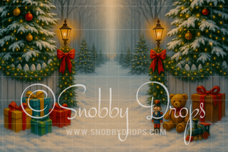 Toyland Winter Path Fabric Backdrop-Fabric Photography Backdrop-Snobby Drops Fabric Backdrops for Photography, Exclusive Designs by Tara Mapes Photography, Enchanted Eye Creations by Tara Mapes, photography backgrounds, photography backdrops, fast shipping, US backdrops, cheap photography backdrops