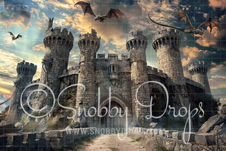 Viking Castle Ruins with Dragons Fabric Backdrop-Fabric Photography Backdrop-Snobby Drops Fabric Backdrops for Photography, Exclusive Designs by Tara Mapes Photography, Enchanted Eye Creations by Tara Mapes, photography backgrounds, photography backdrops, fast shipping, US backdrops, cheap photography backdrops