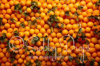 Wall of Oranges Fabric Backdrop-Fabric Photography Backdrop-Snobby Drops Fabric Backdrops for Photography, Exclusive Designs by Tara Mapes Photography, Enchanted Eye Creations by Tara Mapes, photography backgrounds, photography backdrops, fast shipping, US backdrops, cheap photography backdrops