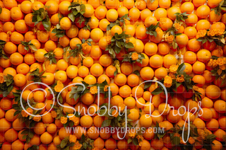 Wall of Oranges Fabric Tot Drop-Fabric Photography Tot Drop-Snobby Drops Fabric Backdrops for Photography, Exclusive Designs by Tara Mapes Photography, Enchanted Eye Creations by Tara Mapes, photography backgrounds, photography backdrops, fast shipping, US backdrops, cheap photography backdrops
