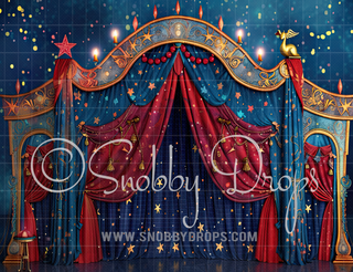 Whimsical Circus Tent Fabric Backdrop-Fabric Photography Backdrop-Snobby Drops Fabric Backdrops for Photography, Exclusive Designs by Tara Mapes Photography, Enchanted Eye Creations by Tara Mapes, photography backgrounds, photography backdrops, fast shipping, US backdrops, cheap photography backdrops