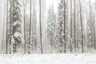 White Winter Trees Forest in Snow Fabric Backdrop-Fabric Photography Backdrop-Snobby Drops Fabric Backdrops for Photography, Exclusive Designs by Tara Mapes Photography, Enchanted Eye Creations by Tara Mapes, photography backgrounds, photography backdrops, fast shipping, US backdrops, cheap photography backdrops