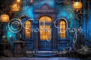 Witch Way Haunted House Door Halloween Fabric Backdrop-Fabric Photography Backdrop-Snobby Drops Fabric Backdrops for Photography, Exclusive Designs by Tara Mapes Photography, Enchanted Eye Creations by Tara Mapes, photography backgrounds, photography backdrops, fast shipping, US backdrops, cheap photography backdrops