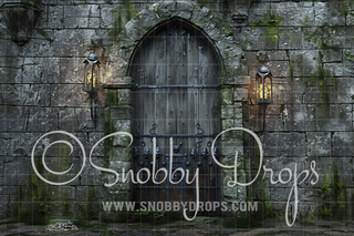 Wizard Castle Door Fabric Backdrop-Fabric Photography Backdrop-Snobby Drops Fabric Backdrops for Photography, Exclusive Designs by Tara Mapes Photography, Enchanted Eye Creations by Tara Mapes, photography backgrounds, photography backdrops, fast shipping, US backdrops, cheap photography backdrops