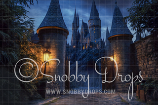 Wizard Castle Entrance Fabric Backdrop-Fabric Photography Backdrop-Snobby Drops Fabric Backdrops for Photography, Exclusive Designs by Tara Mapes Photography, Enchanted Eye Creations by Tara Mapes, photography backgrounds, photography backdrops, fast shipping, US backdrops, cheap photography backdrops