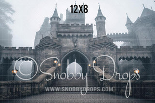 Wizard Castle Entrance Fabric Backdrop-Fabric Photography Backdrop-Snobby Drops Fabric Backdrops for Photography, Exclusive Designs by Tara Mapes Photography, Enchanted Eye Creations by Tara Mapes, photography backgrounds, photography backdrops, fast shipping, US backdrops, cheap photography backdrops