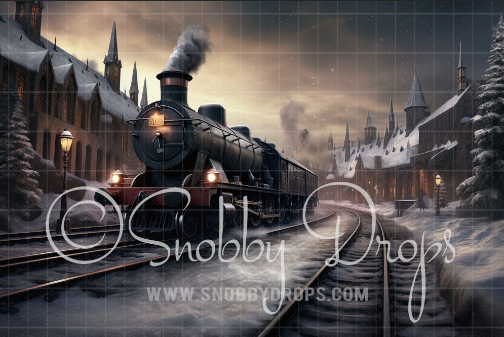 Wizard Train Fabric Backdrop by Snobby Drops