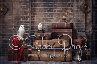 Wizard Train Station Luggage and Owls Fabric Backdrop-Fabric Photography Backdrop-Snobby Drops Fabric Backdrops for Photography, Exclusive Designs by Tara Mapes Photography, Enchanted Eye Creations by Tara Mapes, photography backgrounds, photography backdrops, fast shipping, US backdrops, cheap photography backdrops