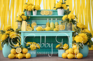 Yellow and Teal Lemonade Stand Fabric Backdrop-Fabric Photography Backdrop-Snobby Drops Fabric Backdrops for Photography, Exclusive Designs by Tara Mapes Photography, Enchanted Eye Creations by Tara Mapes, photography backgrounds, photography backdrops, fast shipping, US backdrops, cheap photography backdrops